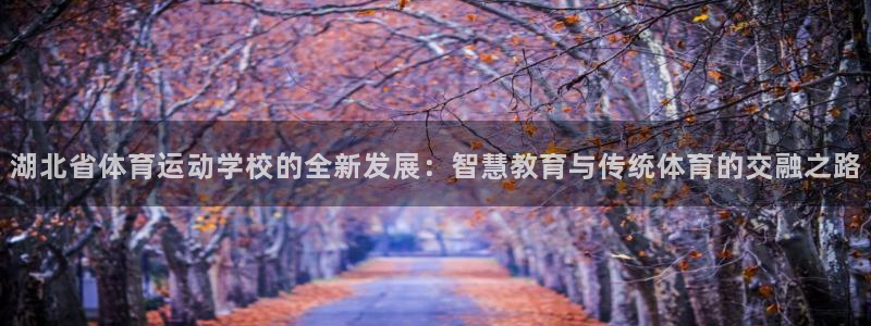 中欧体育全站app