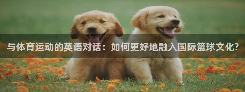 中欧体育kok