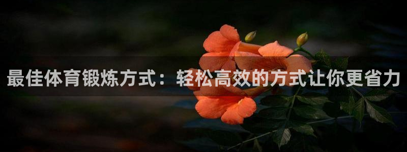 zyty中欧体育平台