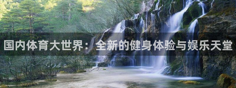 kok中欧体育登录