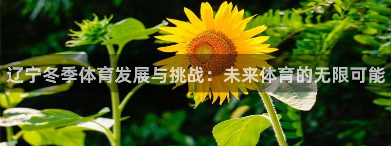 kok中欧体育