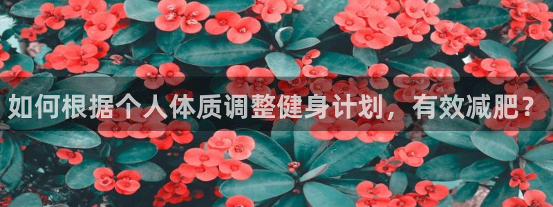 中欧体育平台