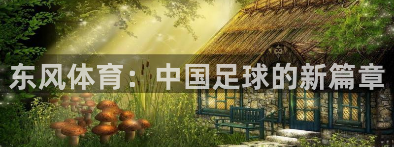 中欧体育平台